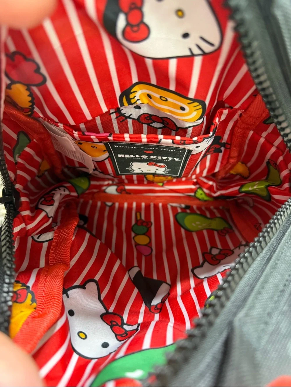 Hello Kitty Red Striped Interior Bag with Multicolor Character Print